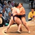 新入幕の草野が一気の寄りで初日から連勝「１場所の間に突き押し覚えた」元若の里の西岩親方が絶賛