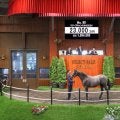 【セレクトセール2025】父はキズナ×母が仏G1馬の「リリーズキャンドルの2024」は2.3億円 米原恭淳氏「この仔と決めていた」