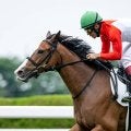 【函館2歳S想定騎手】ブラックチャリスは浜中俊騎手、カイショーは池添謙一騎手