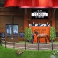 【セレクトセール2025】フォーエバーヤング半弟は3億円で落札 矢作師「芝でもいけるのではないか」 