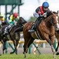【小倉記念想定騎手】メリオーレムは川田将雅騎手、ハピは坂井瑠星騎手
