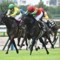 【AI予想・小倉記念】ハンデ戦らしく一筋縄ではいかない一戦！ 前走人気薄でも侮れない人工知能の本命候補