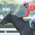 小倉記念の勝ち時計ランキング 1位は武豊騎手が見せた3馬身差の圧勝劇