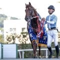 スクリーンヒーロー×ダンスインザダークは成功パターン コスモフリーゲンの血統を深堀り