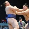 新横綱大の里　安青錦を圧勝！強さにどよめき　“盤石の電車道”を行く