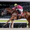 【大井・優駿スプリント枠順】トライアルを制したリオンダリーナは6枠12番、無傷5連勝中のブライトフラッシュは3枠5番