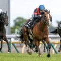 【小倉記念予想オッズ】メリオーレムが予想1番人気