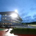 【盛岡・いしがきマイラーズ結果】1番人気シャイニーロックが6馬身差圧勝で重賞初制覇