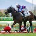 【函館2歳S予想オッズ】カイショーが予想1番人気