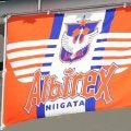 Ｊ１新潟が広島ＭＦ小原基樹の獲得に乗り出す　小柄なドリブラー　今夏４人目の補強か