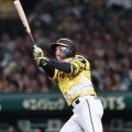 阪神・森下　早くも自己最多タイ１６号　適時失策「絶対に取り返そうと」豪快弾　メジャー・ホームランダービーに刺激