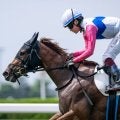 【函館2歳S展望】好位差しが武器になるレースでトウカイマシェリが狙い目