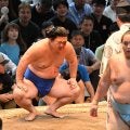 新入幕藤ノ川 激戦の末に血まみれの勝利
