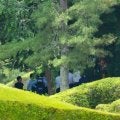 熊の出没目撃で「クマったもんだ…」　女子ゴルフ国内ツアーの第1ラウンドが中止に
