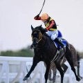 【函館2歳S】約9年ぶりに地方馬のJRA重賞制覇なるか 門別3戦2勝のスペシャルチャンスが参戦