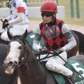 20年レパードS覇者のケンシンコウが登録抹消 今後は種牡馬入りの予定