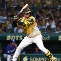 【阪神】折れたバットが次々と中日内野手を襲う　高橋宏斗の前になかなか快音響かず