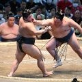 40歳玉鷲が無傷４連勝　19歳年下の伯桜鵬圧倒　帰り際「炊きたてご飯食べたくなってきた～」