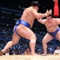 安青錦、憧れ若隆景に初勝利で恩返し「力士になる前から見ていた」尊敬するところは「すべて」