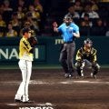 阪神・早川太貴　プロ初登板で痛恨ボーク　三塁走者の生還を許す　甲子園もざわつく