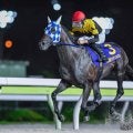 【大井・サンタアニタT結果】ランリョウオーが約1年半ぶりの勝利で重賞6勝目を挙げる