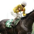 カラテの競走馬登録抹消…重賞で活躍
