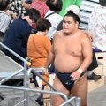 休場の豊昇龍の診断書発表　左足親指の捻挫と骨挫傷で「１カ月間の安静・加療、休場を要する」