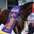 2度の格上勝利を挙げたタツゴウゲキ 重賞初制覇を果たした小倉記念