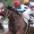 タマゴ＆サラダ＆ポテチが今週集結 ケーエスHDが3勝の固め打ちなるか