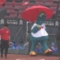 「傘さしてるかわい」雨天のスタジアムに咲く赤い傘？名物マスコットのキュートな姿にファン歓喜
