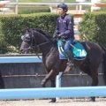 【JRA新馬戦】クロノジェネシスの仔ベレシートなどがデビュー