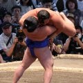 117キロ藤ノ川が114キロ翠富士をつり出し　憧れの相手からの勝利に「いつもより気合入った」