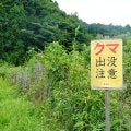 熊出没で無観客開催に女子ゴルファーから心配の声も　ＳＮＳで「難しい判断ですね…」「どうしよ、めちゃくちゃ不安」「無事大会が終えますように！」