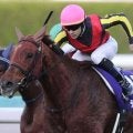 叔母はGI・4勝のラッキーライラック ポルフュロゲネトスがデビューVなるか