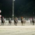 【門別・ノースクイーンC結果】サンオークレアが4馬身差圧勝で重賞4勝目を挙げる