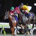 【大井・優駿スプリント結果】ハーフブルーが2番手から押し切り重賞初制覇