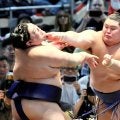 大の里　一人横綱星！新横綱Ｖへ序盤４勝１敗「しっかり体は動いている」　前日金星の阿炎を「落ち着いて」押し出し　