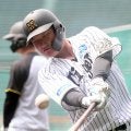 【阪神】渡辺諒が１軍合流へ、２軍練習に姿を見せず　12日２軍オリックス戦では３安打２打点
