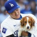 デコピンがプールで気持ちよさそうに泳ぐ…大谷翔平、愛犬のかわいい最新動画を公開