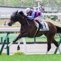 【函館2歳S枠順確定】カイショーは2枠2番、ブラックチャリスは6枠8番