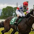 【小倉記念枠順確定】ハピは6枠12番、メリオーレムは2枠4番