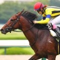永島まなみは小倉記念参戦…女性ジョッキー騎乗馬