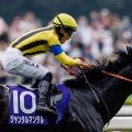 【ムーランドロンシャン賞】ジャンタルマンタルら日本勢2頭が仏G1に登録