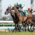 24年ダービー卿CT覇者パラレルヴィジョンが登録抹消 地方競馬に移籍予定
