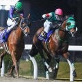【盛岡・マーキュリーC枠順】川崎所属のライトウォーリアは1枠1番