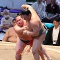 ６日目から弓取り式務める幕下・花の海が快勝　取組後も「もう１回頑張らないと」弓取り式へ気合