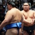 横綱・豊昇龍の途中休場に激励の声殺到