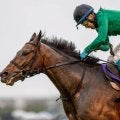 ひまわり賞を前に「九州産馬」の豆知識紹介