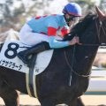 半兄は菊花賞馬のドゥレッツァ レイナサグラーダが休み明けで一変なるか