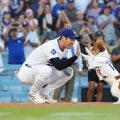 大谷翔平が三刀流に！愛犬デコピン描いた絵本出版「デコイが開幕戦を救う」収益は犬の保護活動支援